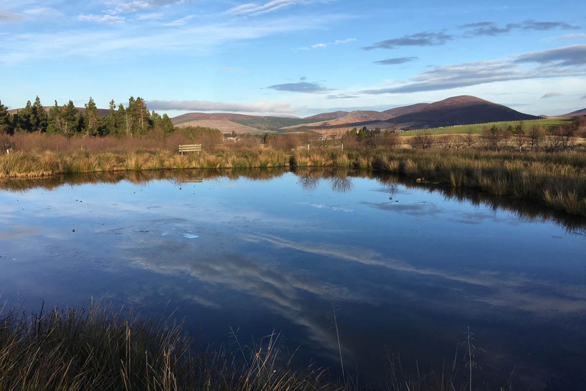 Auchnascraw Image 1 