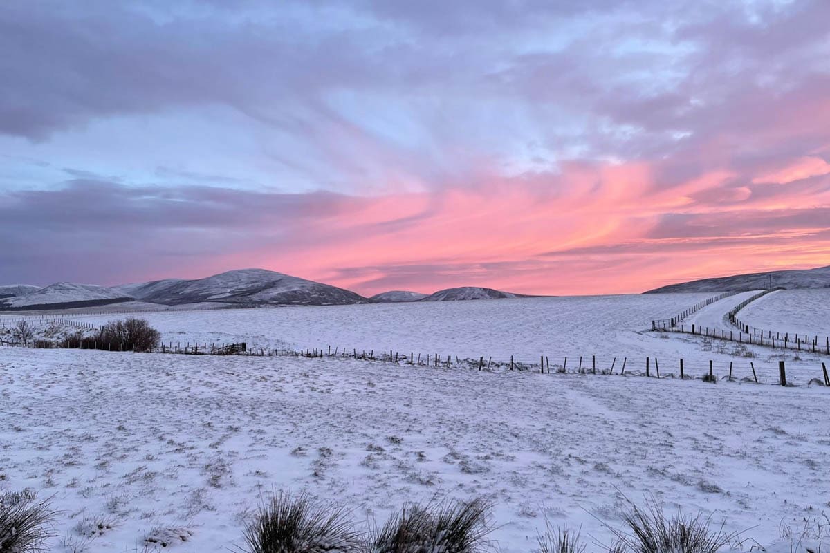 Auchnascraw Image 3 